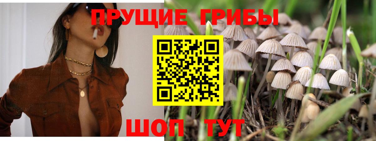 Галлюциногенные грибы MAGIC MUSHROOMS Тосно